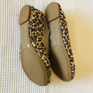 Lucky Brand Shoes - NEW Lucky Brand Emmie Ballet Flat Lucky Brand Shoes - NEW Lucky Brand Emmie Ballet Flat
